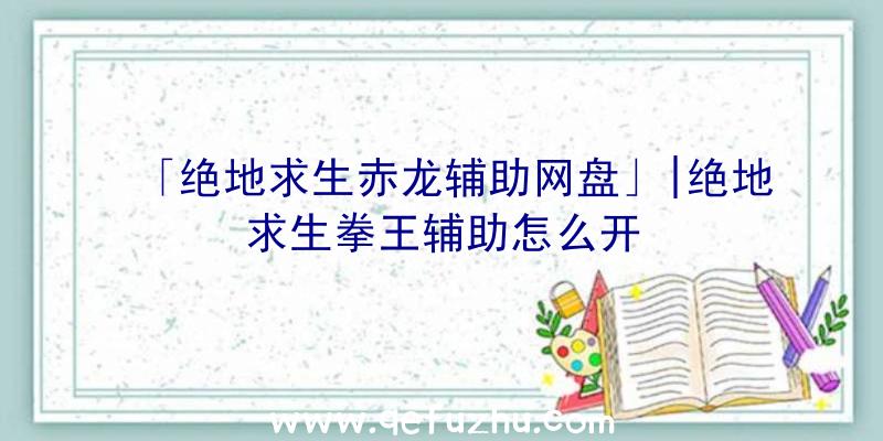 「绝地求生赤龙辅助网盘」|绝地求生拳王辅助怎么开